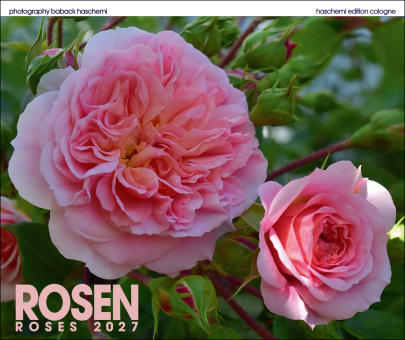 ROSEN KALENDER